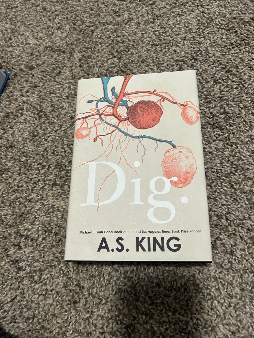 A.S. King "Dig." Hardcover Book -Autographed by the author